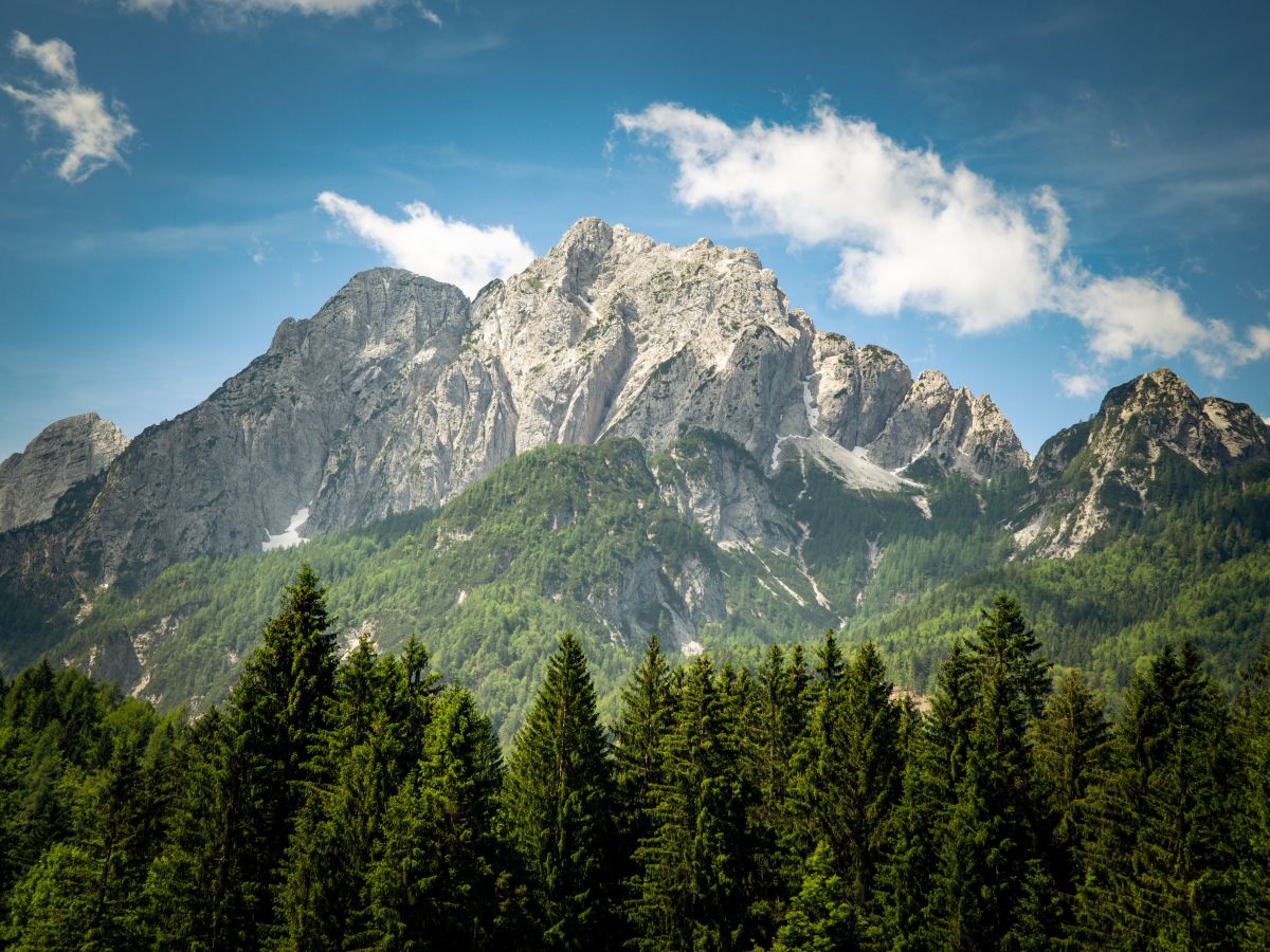 Op vakantie met de familie&nbsp;Neef